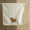 Coral Velvet Cartoon Towel Capybara Pattern Face Towel Soft Bath Towel  Bathroom