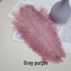 25-30cm Quality Thin Stem Grayish Purple Red