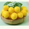Artificial Lemon Branches Simulation Ornaments For Kitchen, Store Event Display Photography Prop Decorative Fruit & Vegetables