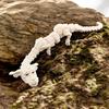 3D Printed Lucky Dragon Figurine Joint Movable Dog Head Dragon Ornament  For Home Decor Gift