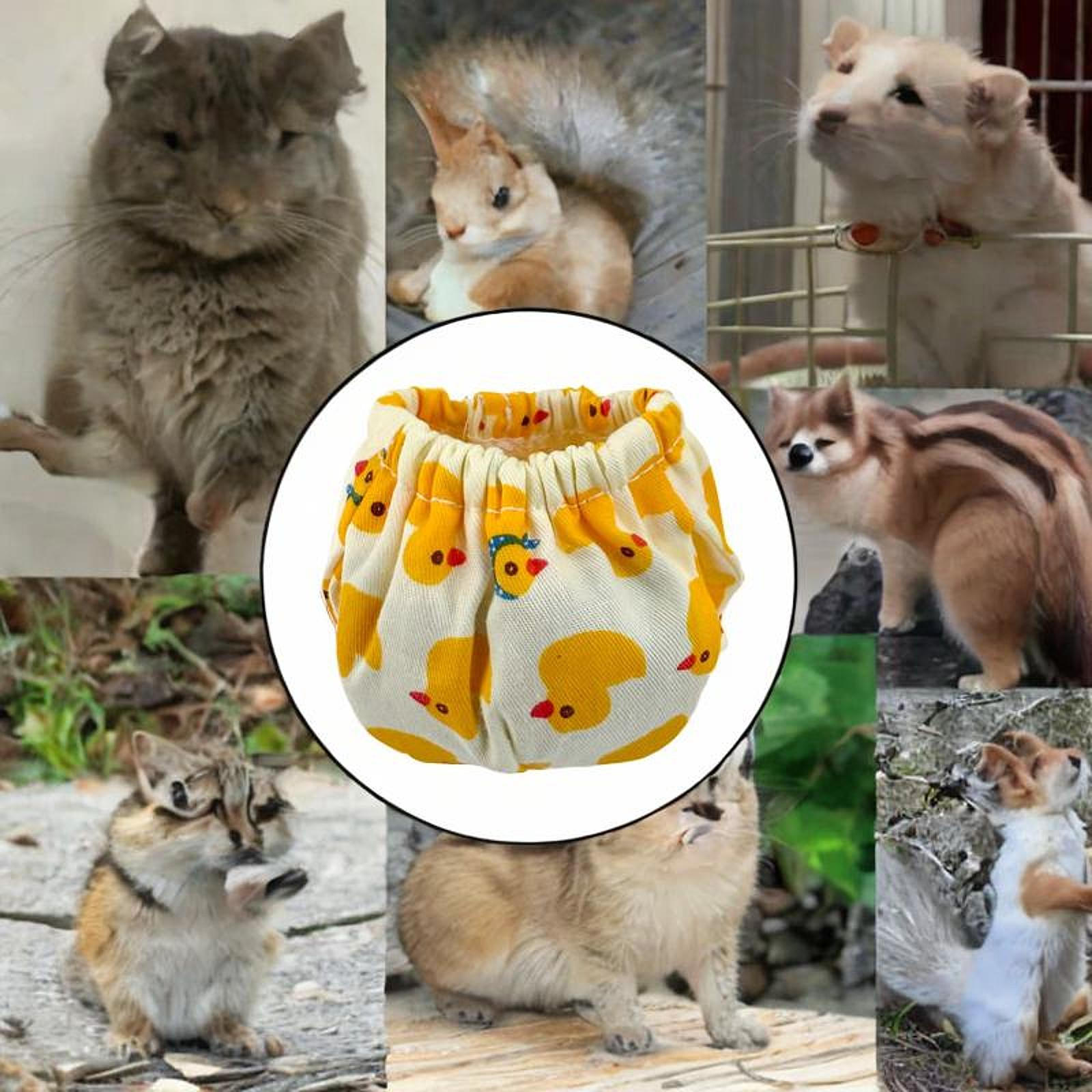 

Diapers for Squirrels, Training Pants Small Animals, Elastic Waistband, Breathable Type A S