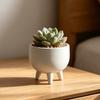 Vasi Fioriera Yousheng Ornamenti Stampati 3D Bocca Larga Grande Capacità Fioriera Opaca a Tre Gambe Base Rialzata Vaso da Fiori per Interno Esterno