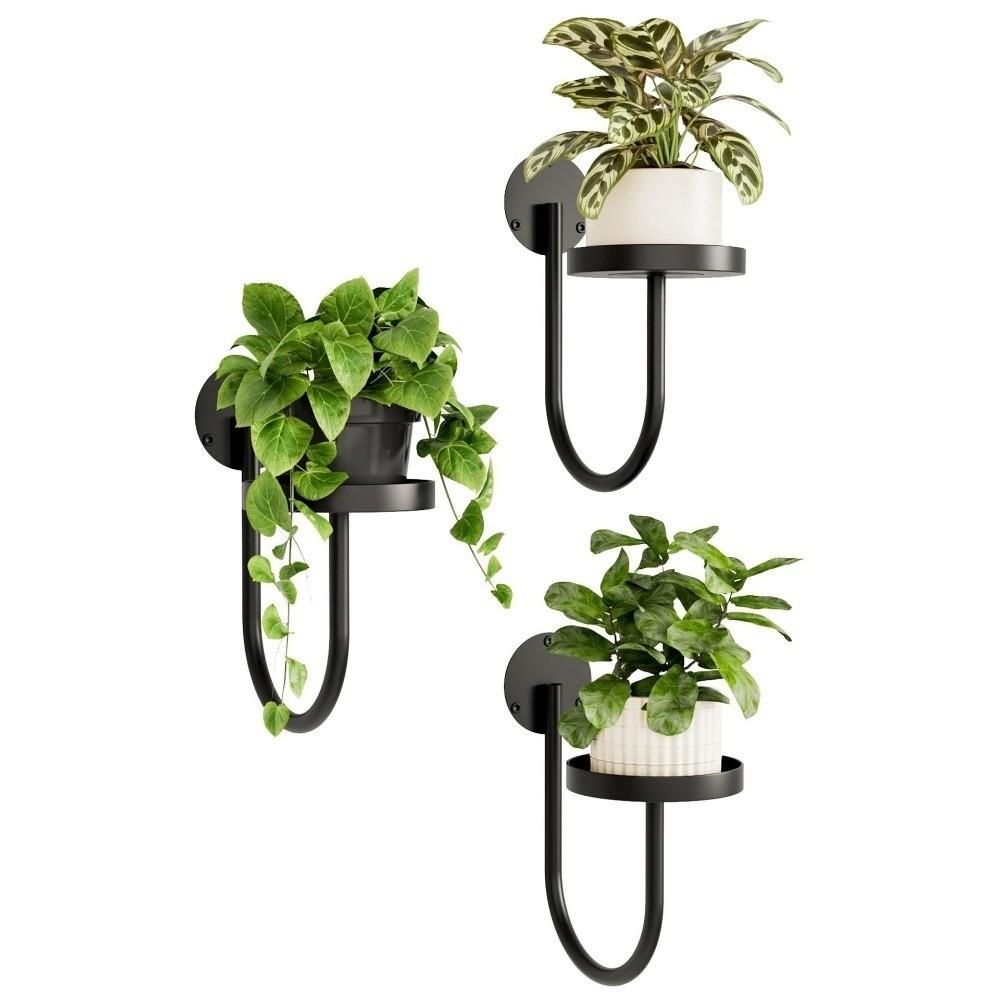 Space Saving Hanging Plant Stand Bonsai Hanging Metal Flower Shelf  Outdoor Gardening