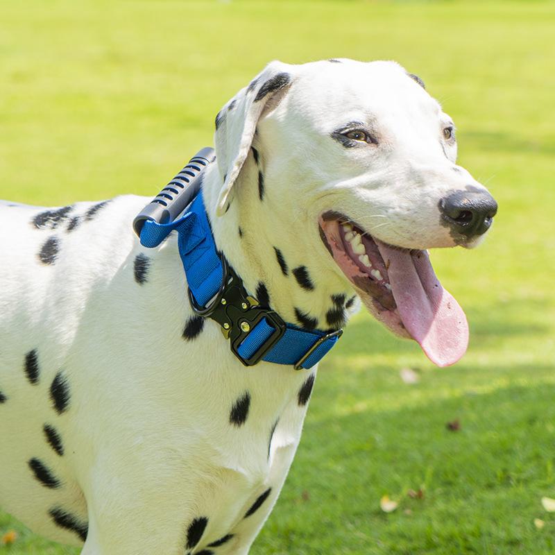 Zgărzi pentru animale de companie, Zgărzi pentru câini rezistente la explozii, rezistente la impact și extensibile, Zgărzi pentru câini de talie medie și mare, Zgărzi tactice