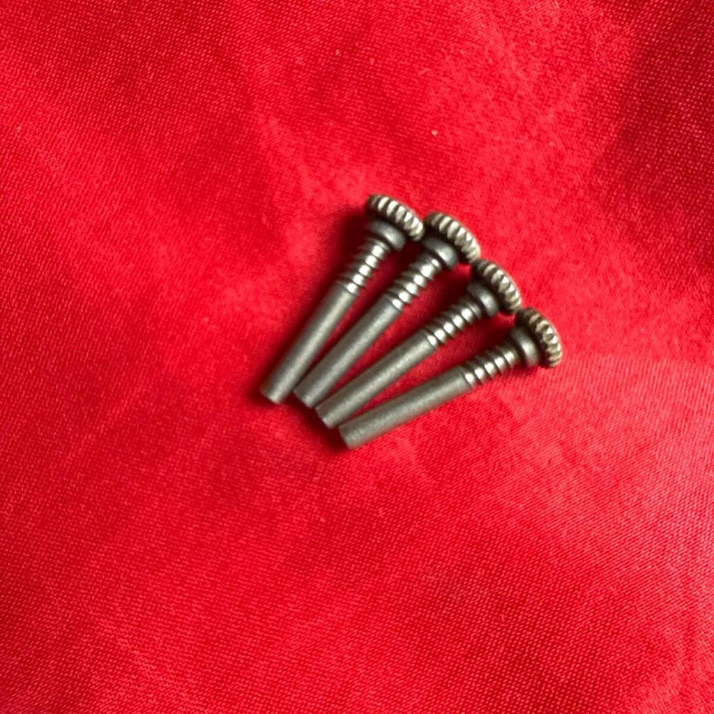 CASIO Fisherman Screws Strap Fixing Screws DW-8600 G-SHOCK DW-8600 4-Piece Set