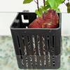 Hook Design Aquarium Basket Hydroponic Basket for Fish Tank Aquarium Plant Holder Heat-resistant Hydroponic Basket Hanging Fish Tank Planter Cups