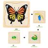 Children's Early Education Characters Body Organ Structure Cognitive Puzzle Brain Multi-Layer Development Wooden Toys