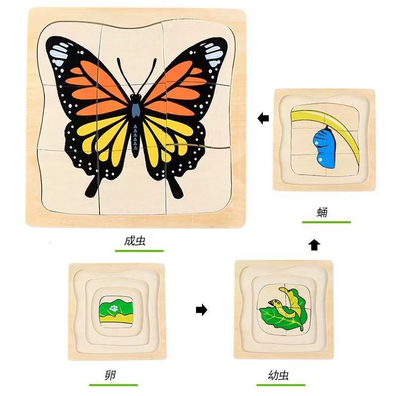 Children's Early Education Characters Body Organ Structure Cognitive Puzzle Brain Multi-Layer Development Wooden Toys