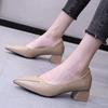 2026 High Heels Women New Korean Style Pointed Shallow Mouth Thick Heel Fashion Shoes