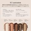 in Stay Assur Fit My Color Palette [STEIASUR][Official][Made Japan] (03 Autumn) 13.5g Multi-Palette/Pink/Brown/Personal