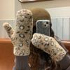 Warm wool gloves Women's winter rabbit plush full finger cute riding warm elastic finger cold and windproof