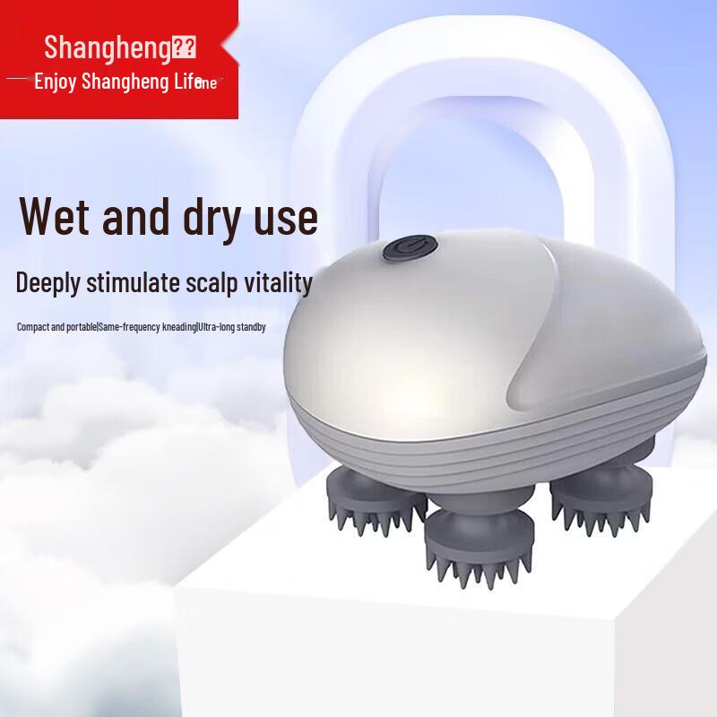 Shangheng Head Massager CN plug (adapter included)