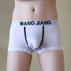 Briefs Panties Shorts Underpants Underwear Elephant Nose Low-Rise