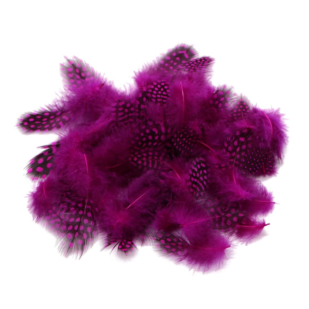 Set of 50 Pheasant Rooster Feathers Chicken Feathers Costume Millinery Craft