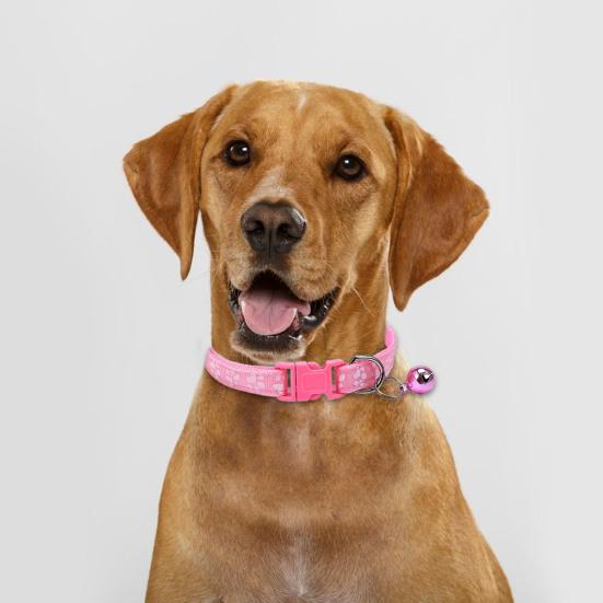 2Pcs Dog Collar Adjustable Buckle Design Exquisite with Bell Paw Pattern Pet Cat Dog Neck Circle Pet Supplies