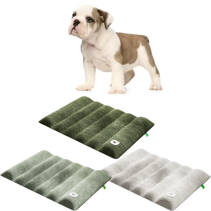 Dog Sleeping Mat Large Size With Waterproof Fabric And Cloud Plush For Indoor Use