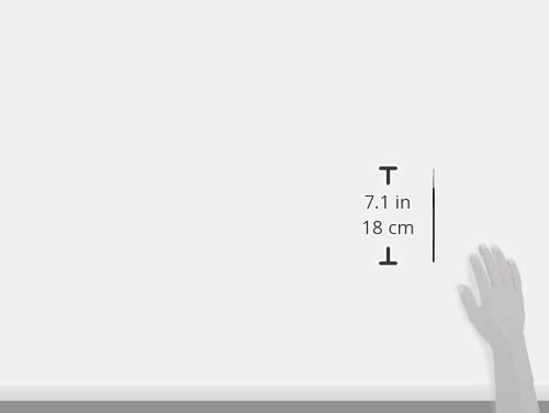 Winsor & Newton Watercolor Brush Series 7 No. 0