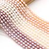 1 Sträng DIY Risformade Pärlor 2-7mm För Smyckestillverkning DIY Halsband Armband Örhängen Tillbehör Kedja 36cm
