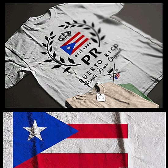 Puerto Rico t-shirt The Bronx NYC Puerto Rican flag Boricua Taino crown tee