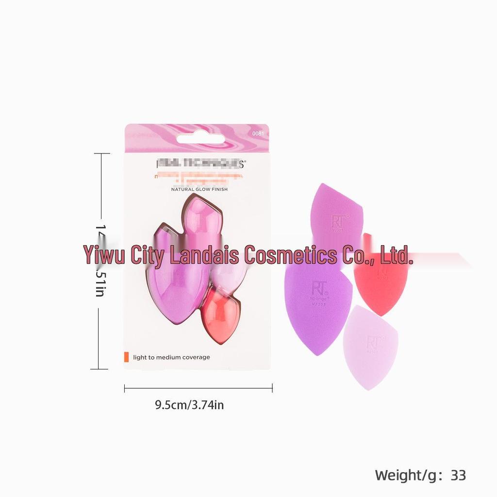 RT Series Makeup Brush & Sponge Set: Blending & Eyeshadow Brushes with Beauty Sponge