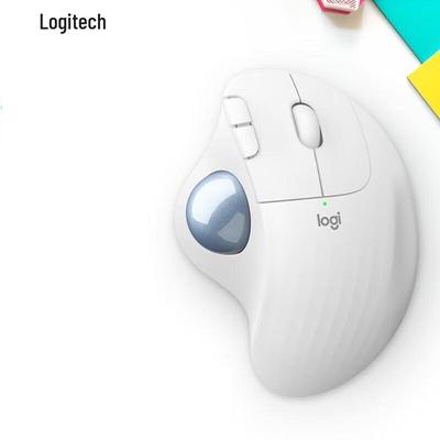 Kompiuterių periferiniai įrenginiai – Pelės