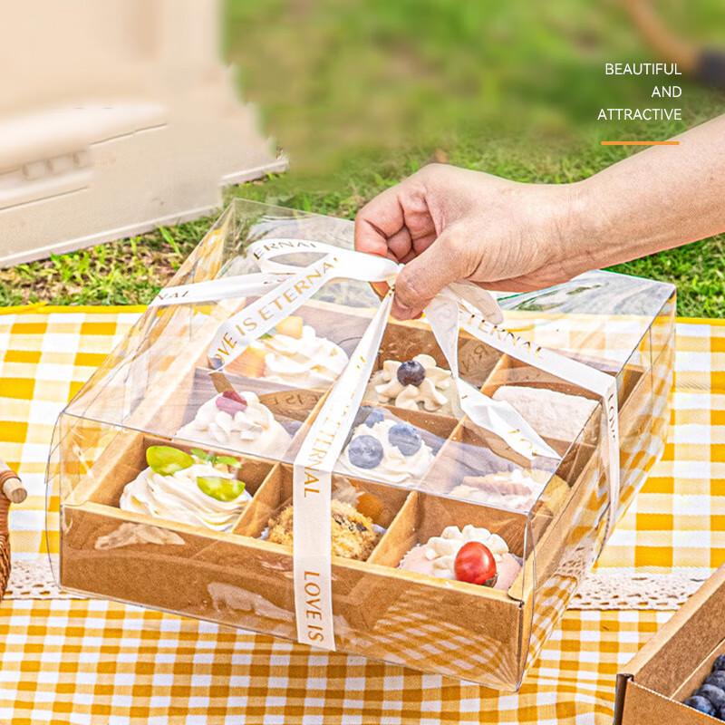 Disposable Large Picnic & Bento Boxes (10-Pack)