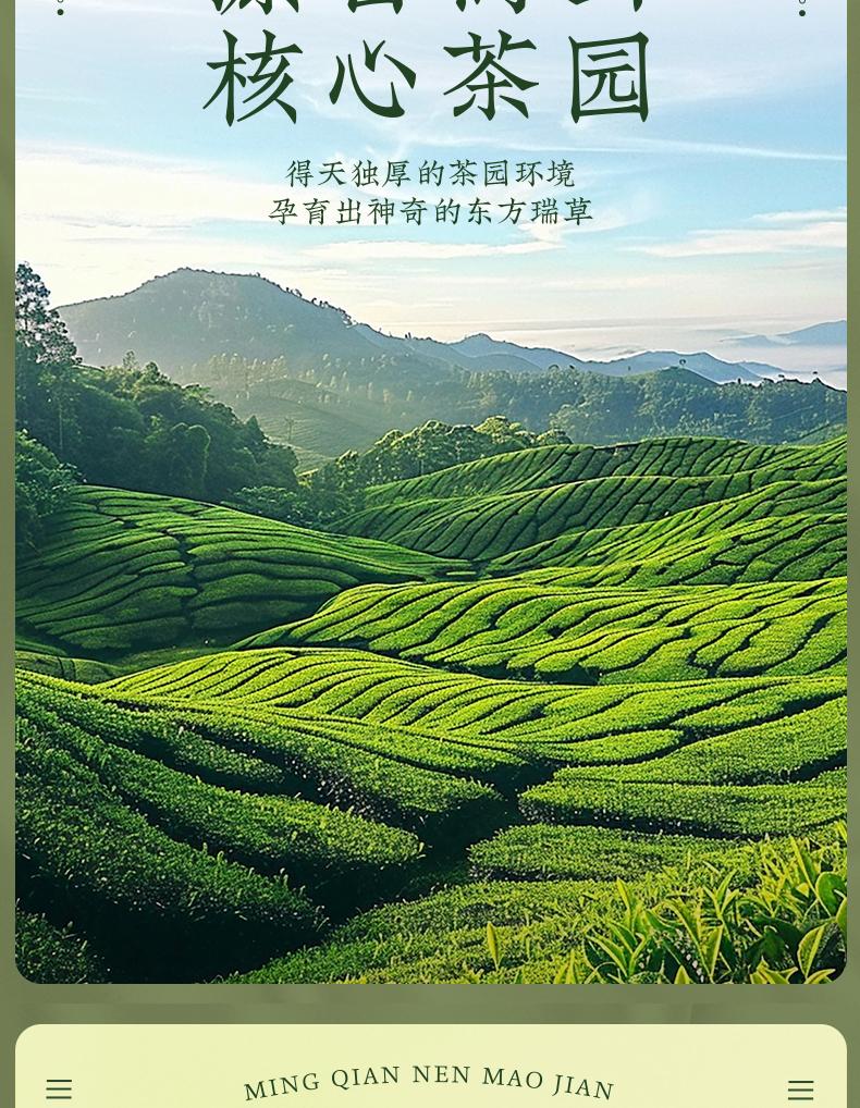 Jieying Green Tea Mingqian Xinyang Maojian Green Tea Gaoshantou Spring Tea Collection Gift Box 250g