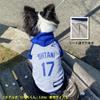 Official MLB Los Angeles Dodgers Shohei Ohtani Model Baseball Uniform Hoodie, Size Small, for Pets