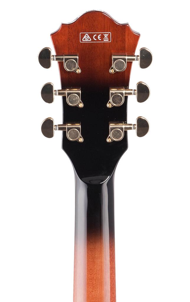 Ibanez Brown / AG95QA-DBS (Dark Sunburst)Ibanez