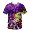 Summer Round Neck 3D Floral Plant Graphic Printed Top Fashionable Casual Short Sleeved Children's Girl T-shirts