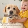 Wood Dog Chew Stick Natural Wooden Bones Dog Teeth Cleaning Toy Dental Health Care Stick Organic Pet Chews for Dogs