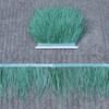 Thickened Encryption Ostrich Hair Cloth Edge 10-15Cm Feather Clothing Skirt Accessories