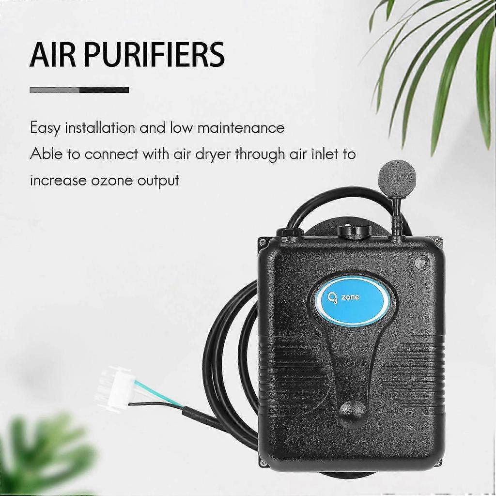 220V 300Mg/H Ozone Generator Bathtub Shower SPA Swimming Pool Ozonizer Tub Pool Water Purifier Repla
