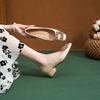 New Chinese Style High Heels Women's Head 2026 Spring and Autumn New Leather Thick Heel Square Buckle Rhinestone Versatile Single Shoes Women