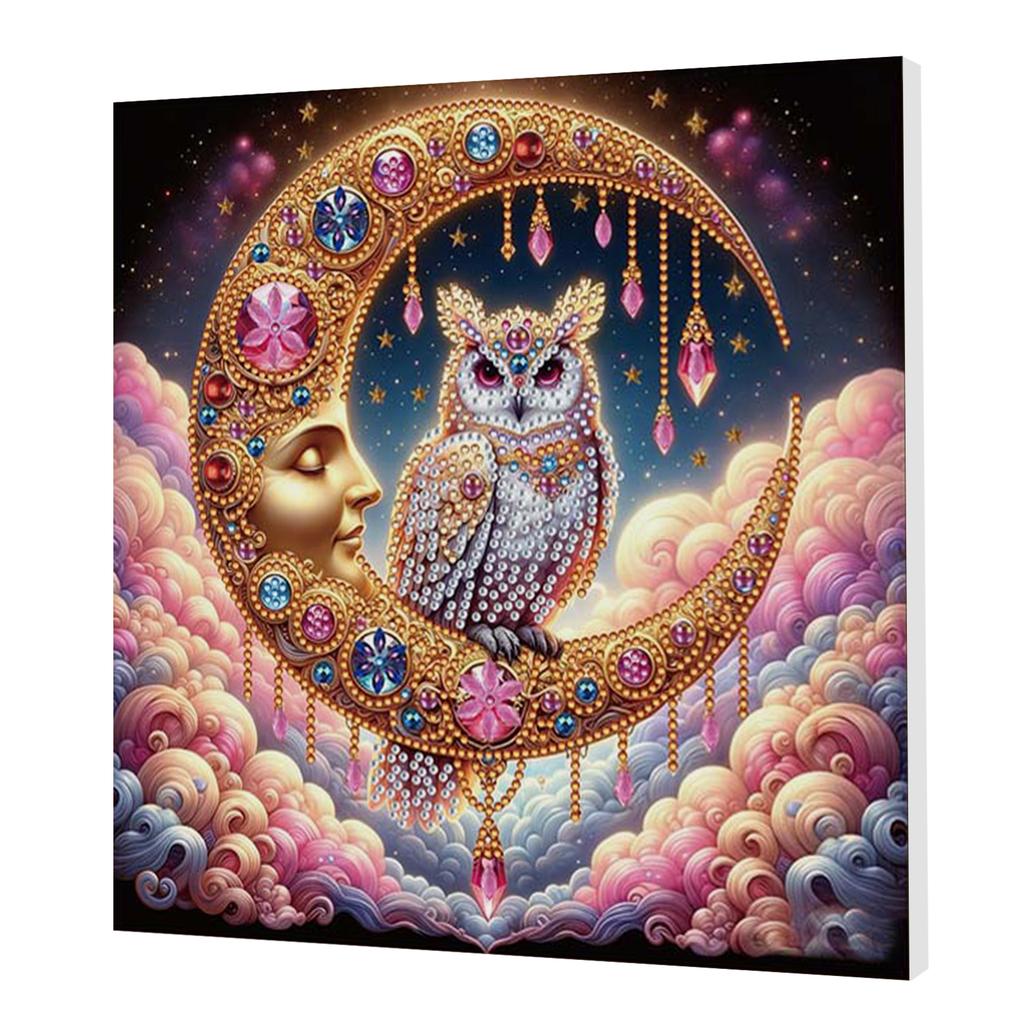 DIY Special Shape Drill Art Craft Pearl Diamond Painting with Frame 25x25cm Pearl Art Painting Set for Adults Home Wall Decor