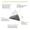 Tea Culture of The World Decaf Black Tea Bags | Premium Decaffeinated Black Tea for Detox | First Quality, 16 Tea Bags (32g)