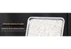 Stainless Steel Steaming Tray with Holes for Steamer and Buns