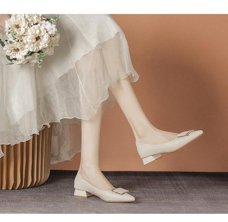 Women's Soft Leather Pointed Toe Mid-Heel Buckle Shoes for Spring/Autumn
