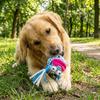 Dog Companion Toys Colorful Dog Chew Rope Toy Bite-Resistant Grinding Teeth Dog Mop Ball Toys Cartoon Pet Interactive Toys Play