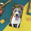 Pit Bull Lovely Dog Pitbull Case For Xiaomi 13T 14T 15T 14 15 Ultra 17 Pro Max POCO F8 Ultra X7 X5 X6 F5 F6 F7 Pro Cover