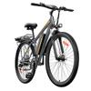 CHEEVALRY C29 Elektrisches Mountainbike 750W 48V 18.6Ah Elektrofahrrad 29 Zoll E-MTB