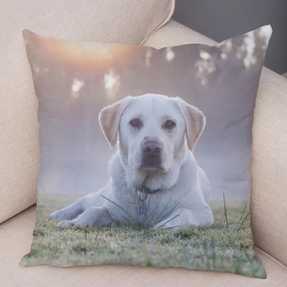 Office Living Room Home Pillowcase Pet Labrador Pattern Pillowcase Car Ornaments