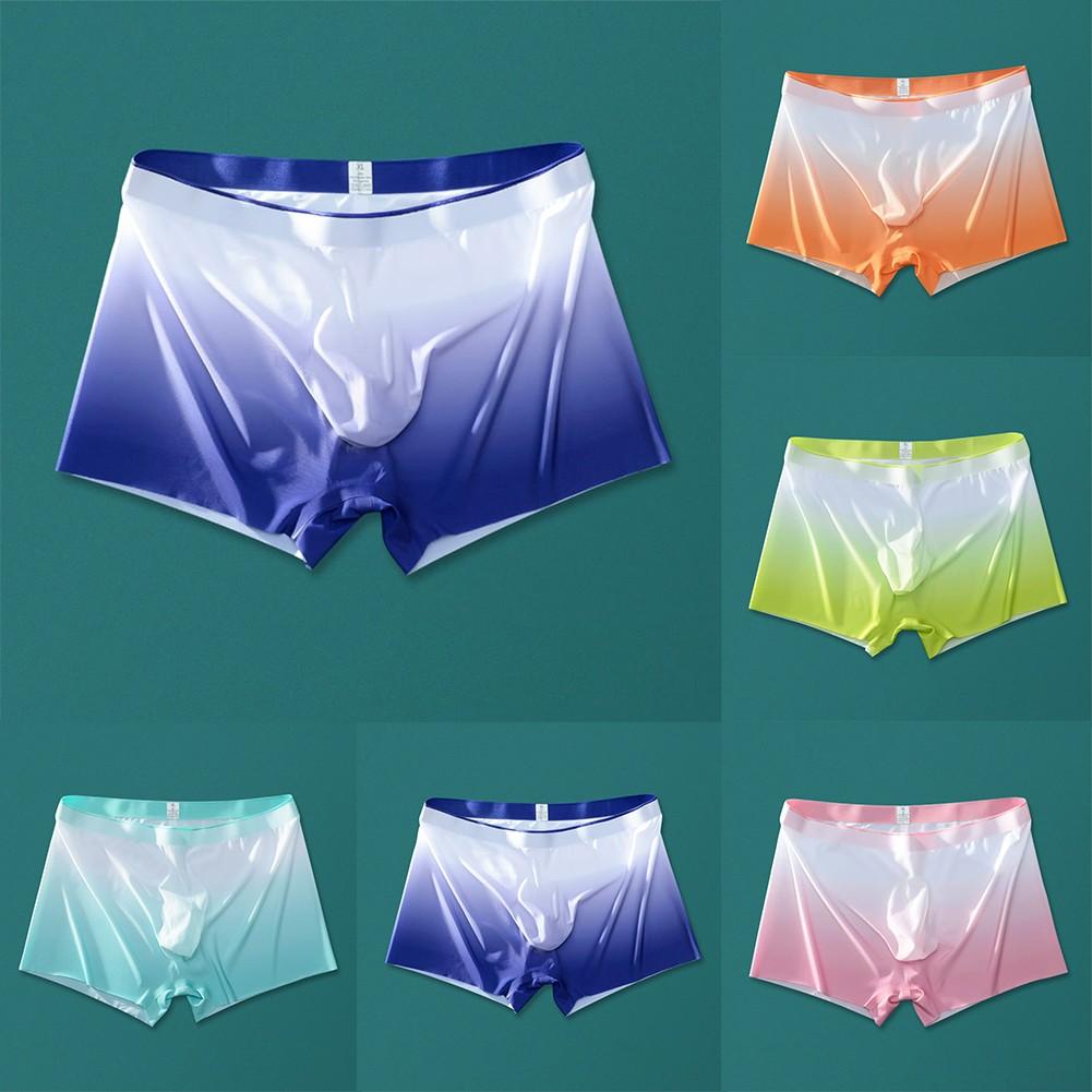 Lightweight Underwear Sexy Sheer Soft Boxer Briefs