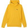 Sweatshirts Men's Yellow Hooded Moderate Other 678340-55