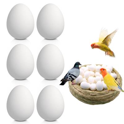 Pájaros – Productos avícolas