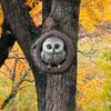 Owl Pendant, Creative Outdoor, Garden, Animal Tree Hole, Tree Hanging Decoration, Resin Crafts, Ornaments