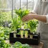 Tuinpotten en -dozen – Kweekcontainers