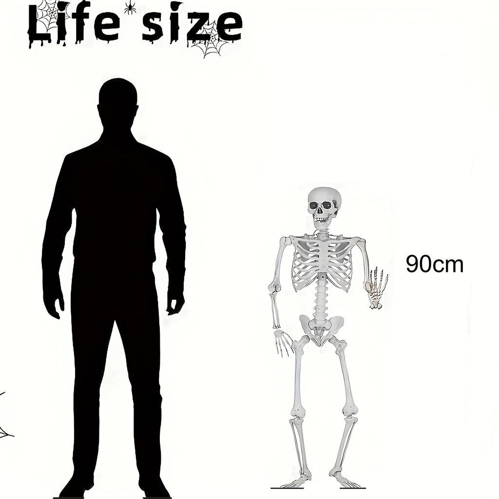 Halloween Skeleton Life Size Human Skeleton With Posable Joints Weather-Resistant Outdoor Decorations Spooky Photo Props Party