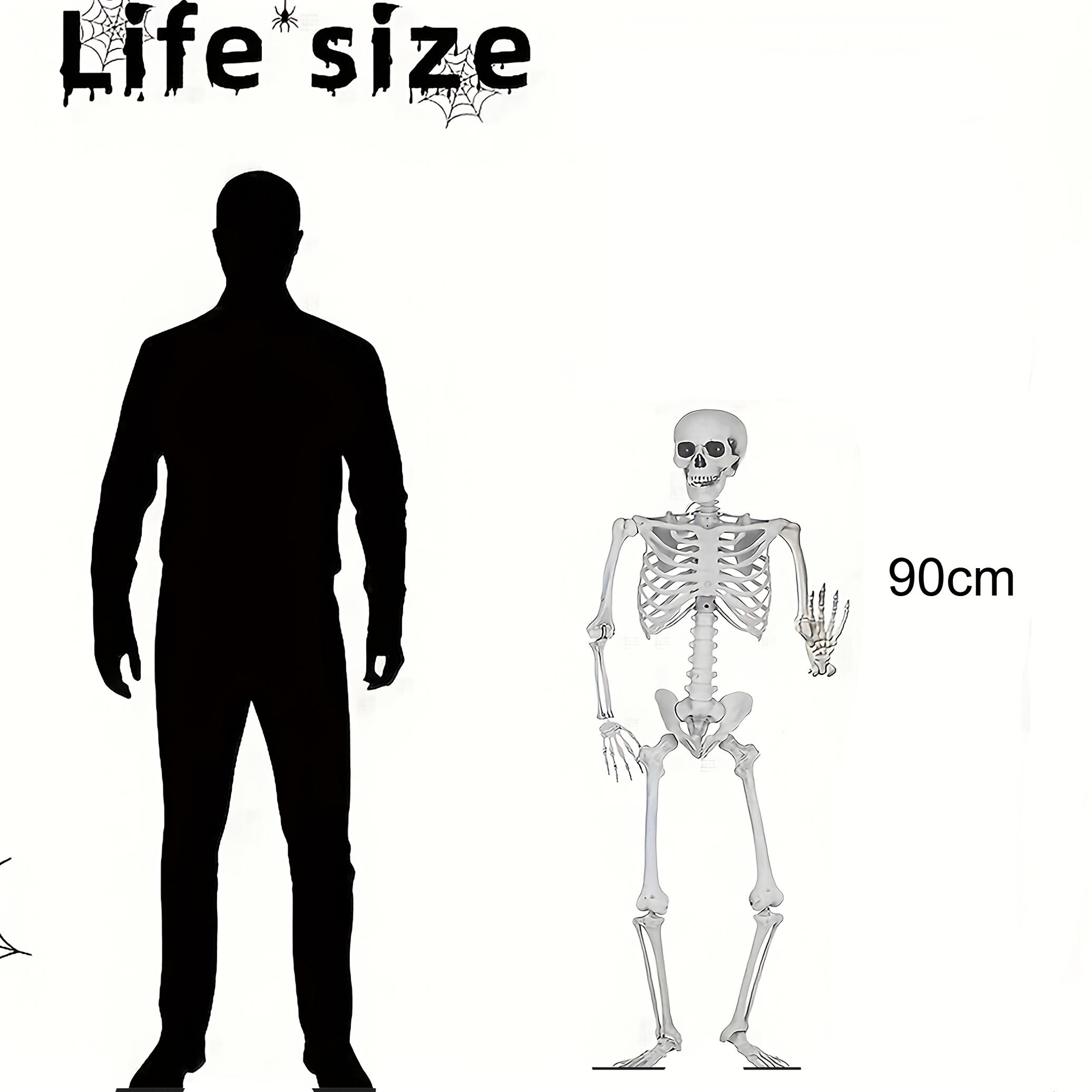 

Halloween Skeleton Life Size Human Skeleton With Posable Joints Weather-Resistant Outdoor Decorations Spooky Photo Props Party