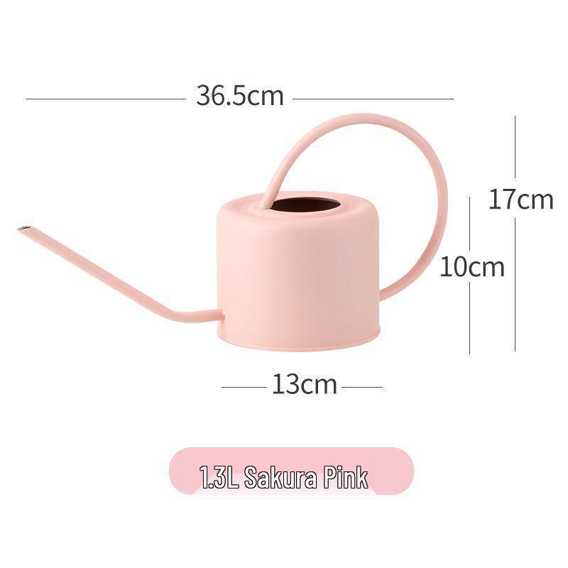 Leide Zhuzhu Wrought Iron Long Spout Watering Can for Flowers and Succulents